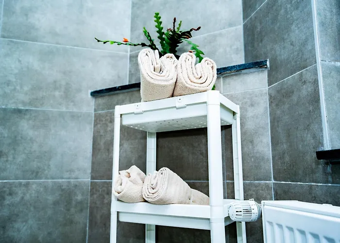 R0 Avec Salle De Bain Partagee Pres De L'hopital De La Citadelle A * Льеж